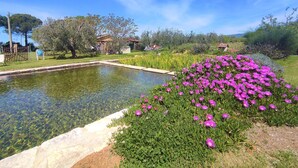 Un jardin avec un étang, entouré de différentes plantes et fleurs, et un petit bâtiment en arrière-plan.
