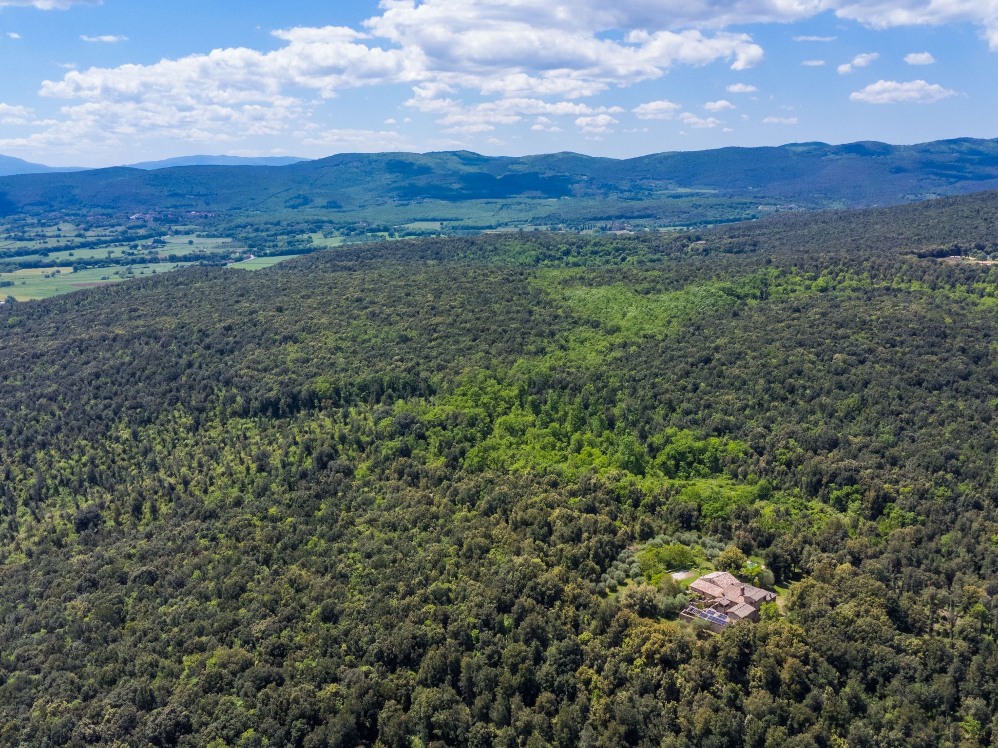 A forested area with a small building surrounded by trees.