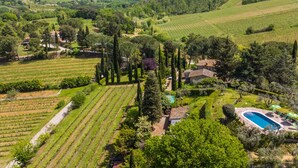 A vineyard with rows of grapevines, a swimming pool, and a house surrounded by trees.