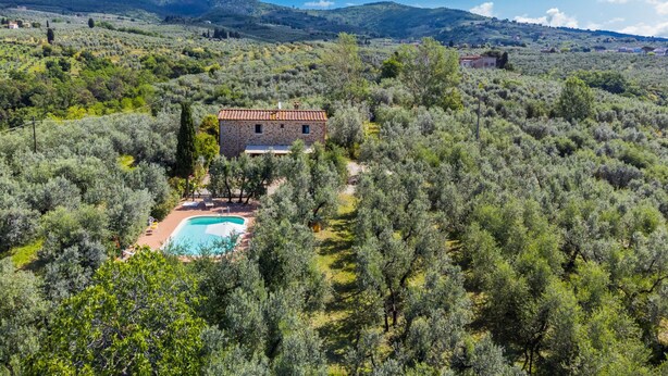 A stone house surrounded by olive trees with a swimming pool. - La Casina by Interhome (Vinci)