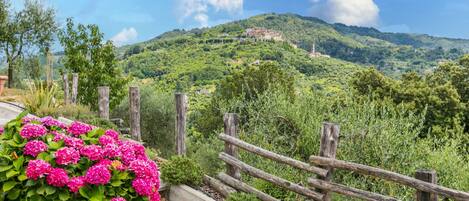 Áreas de la propiedad