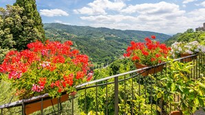 Un balcón con plantas en macetas y vistas a un paisaje montañoso.