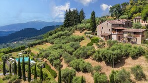 A hillside villa with a swimming pool, surrounded by olive groves and a view of distant mountains. - La Cupola: Papavero by Interhome (Pescia)