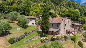 Unclassified image, 2 of 50, button - La Cupola: Geranio by Interhome (Pescia)