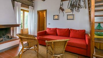 TV, fireplace, foosball