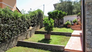 Un jardin résidentiel avec un chemin dallé, un pot de fleurs et un mur en pierre.