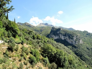 A mountainous landscape with dense forest and rocky cliffs.