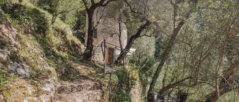 المنطقة المحيطة بالمنشأة