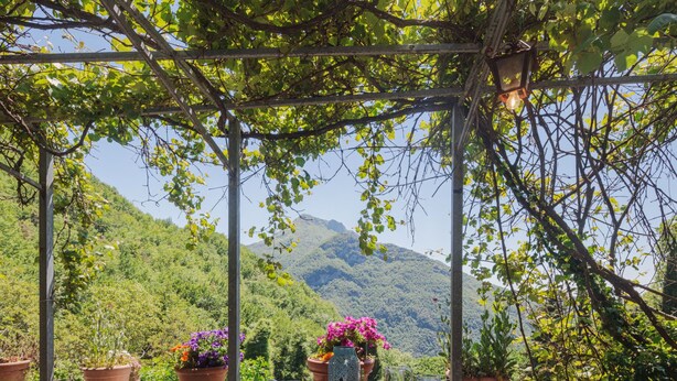A table set up outdoors with a mountain view, surrounded by potted plants and various breakfast items. - Paradiso by Interhome (Camaiore)