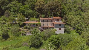 A hillside villa with multiple buildings, surrounded by dense forest. - Paradiso by Interhome (Camaiore)