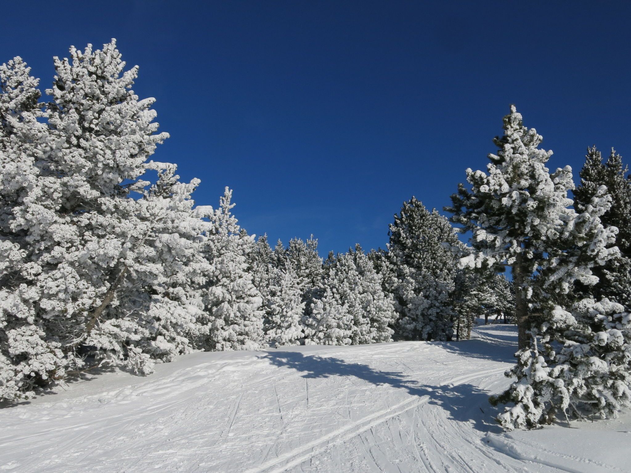 滑雪运动