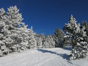Sports d’hiver