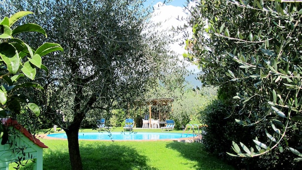 A lush garden with a swimming pool, surrounded by olive trees and a pergola. - Agrifoglio by Interhome (Lucca)