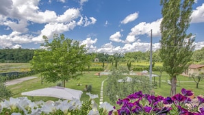 A garden with a white umbrella, purple flowers, and a clear blue sky.