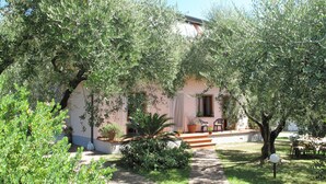 A house with a garden pathway leading to a door, surrounded by olive trees and a small patio area with outdoor furniture.