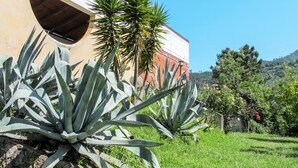 Un edificio con fachada curva, plantas de agave grandes en primer plano y una colina con árboles y arbustos al fondo.