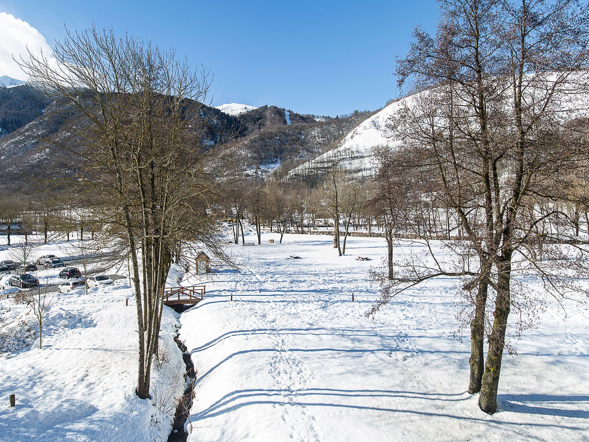 Un paysage enneigé, avec un ciel dégagé, quelques arbres et une chaîne de montagnes à l’horizon.