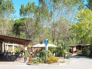 An outdoor seating area with tables and chairs, surrounded by lush greenery and trees.