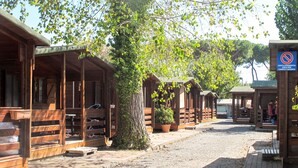 A rustic wooden cabin-style building with a gravel driveway and a tree in front. - Camping Campeggio Italia (MAS370) by Interhome (Marina di Massa)