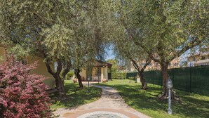 A stone pathway leading to a building with a tiled entrance. - Vacation home Colli by Interhome (Marina di Massa)