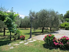 Terrain de l’hébergement 