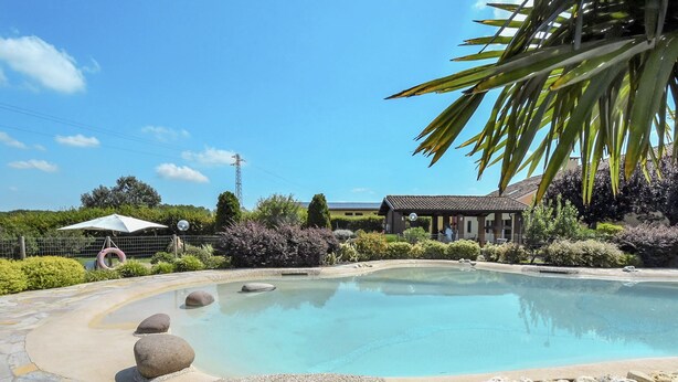 A swimming pool surrounded by pebbles and rocks, with a palm tree and a building in the background.