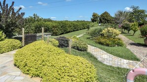 A landscaped garden with a stone pathway, neatly trimmed hedges, and a variety of flowering plants.