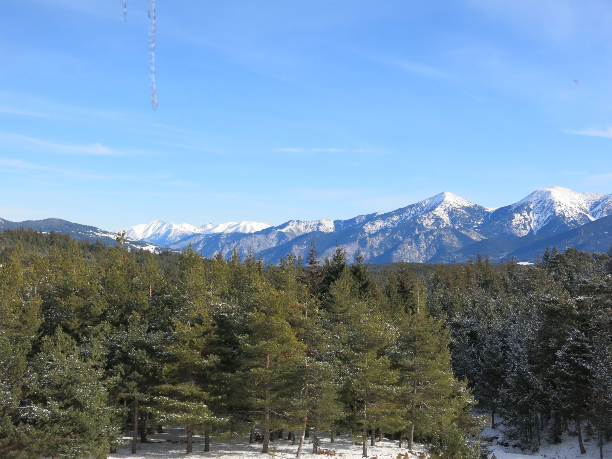 Eine gebirgige Landschaft mit schneebedeckten Gipfeln und einem dichten Wald im Vordergrund.