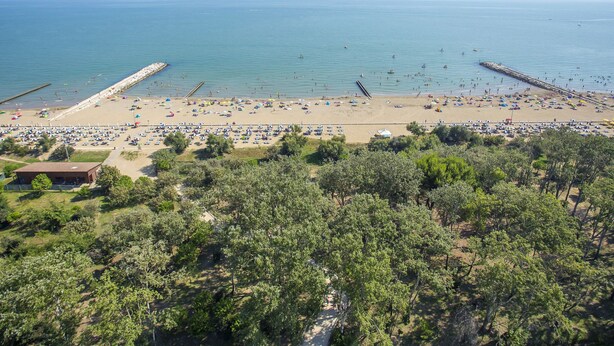 Uma praia com vários guarda-sóis e espreguiçadeiras, um píer que se estende sobre a água, e uma vista clara do mar.
