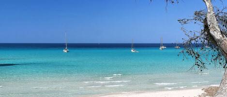 Plage
