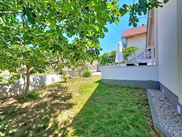 A courtyard with a white building, a tree, and a small garden area.