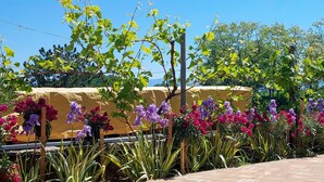 Een tuin met verschillende planten en bloemen, een gele muur en een helderblauwe lucht.