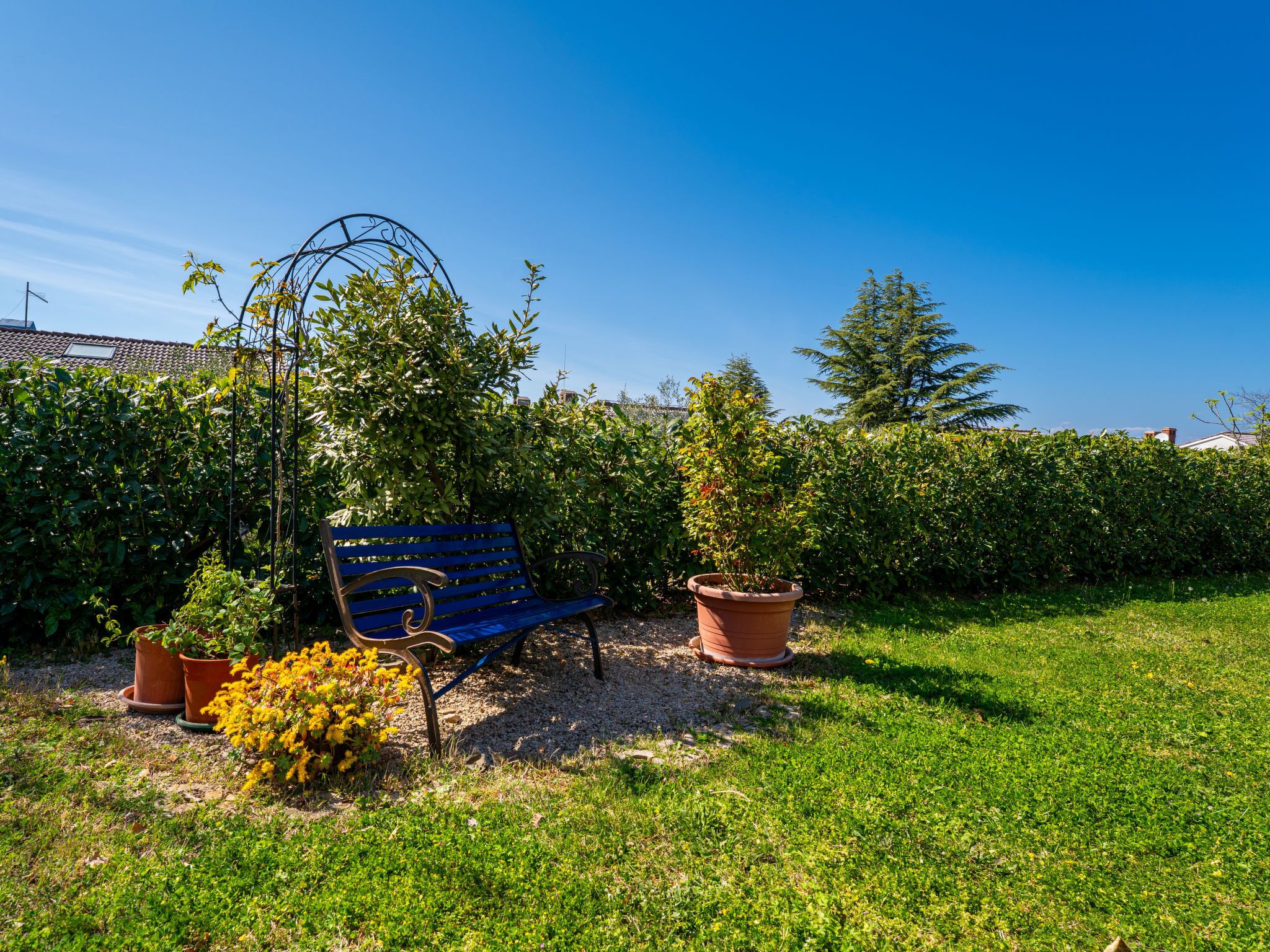 Una banca en un jardí amb setescales, plantes en testos i un cel blau clar.