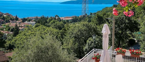 A balcony with a view of the sea, a power line tower, and surrounding greenery.