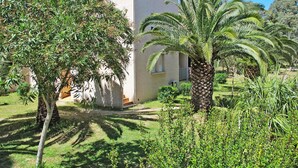A building with a flat roof, surrounded by lush greenery and palm trees.