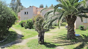 A pathway leading to a building with a tiled roof, surrounded by palm trees and greenery.