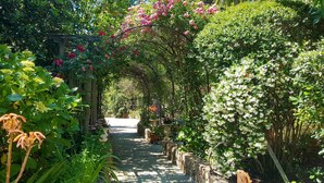 En sti af sten slynger sig gennem en frodig have med forskellige blomstrende planter og en træpergola.