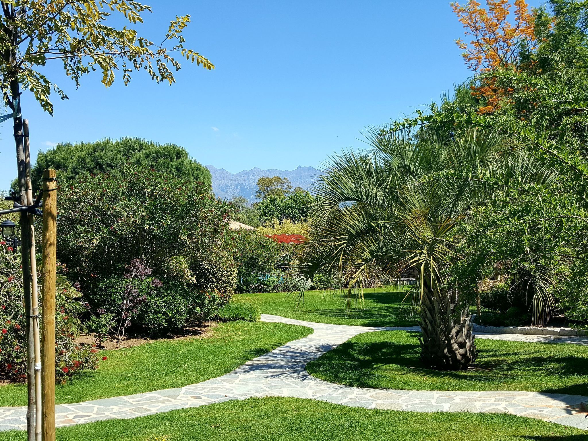 A garden pathway leading to a house with a mountain backdrop.