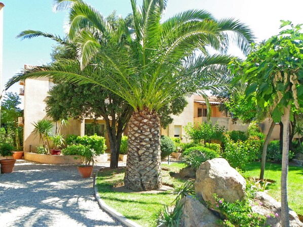 A courtyard with a palm tree, potted plants, and a large rock.