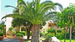 Un patio con una palmera, plantas en macetas y una gran roca.