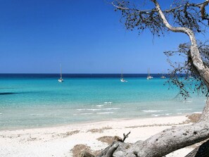 Beach nearby - Suarella by Interhome (Saint-Florent)