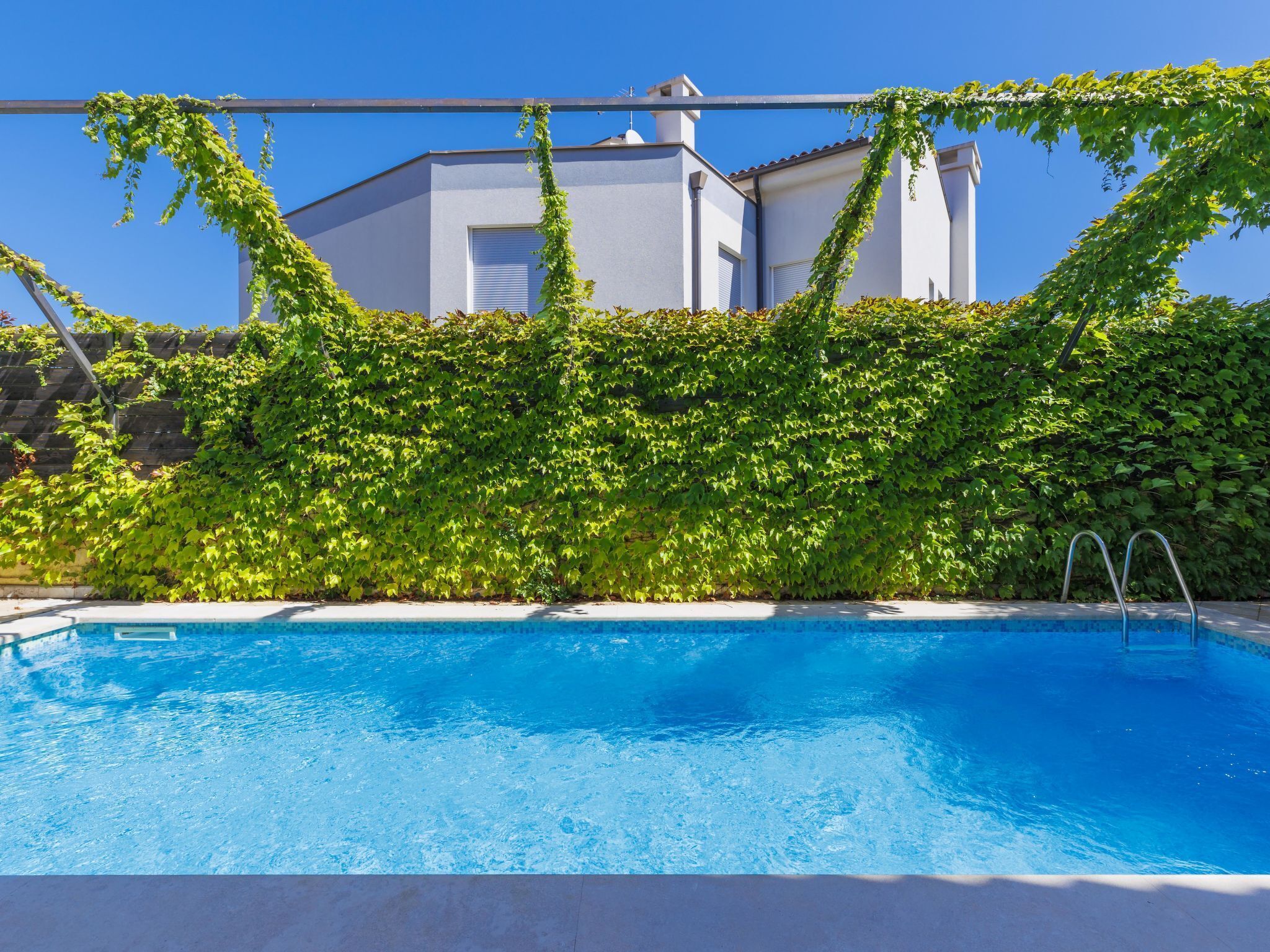 Ein Swimmingpool mit klarer, blauer Wasseroberfläche, umgeben von einer üppigen, mit Efeu bewachsenen Mauer.