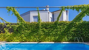 Una piscina con superficie d'acqua cristallina azzurra, circondata da un muro rigoglioso ricoperto d'edera.