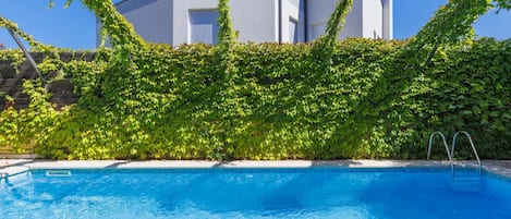 A swimming pool with a clear blue water surface, surrounded by a lush green ivy-covered wall.