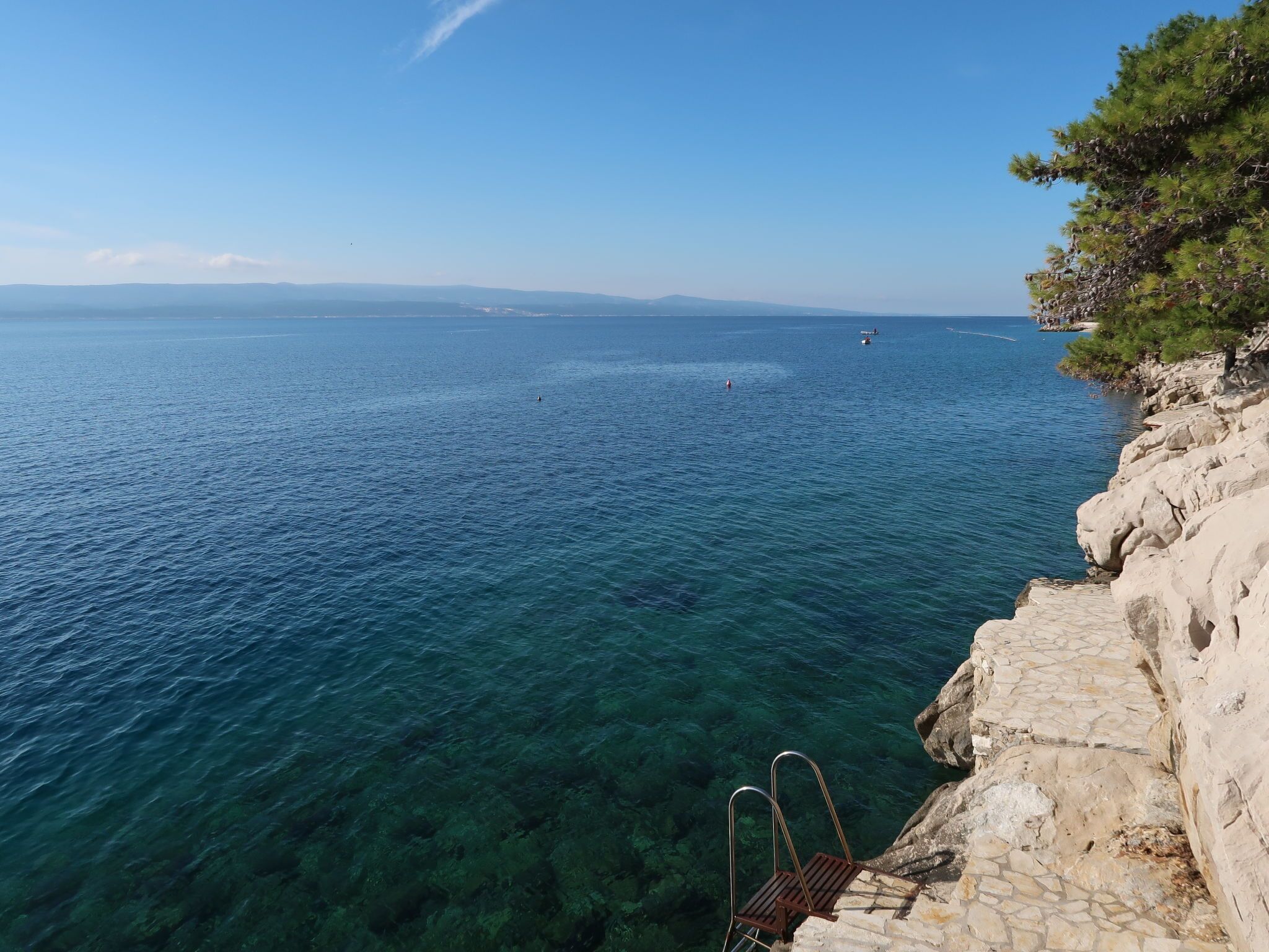 Diverse