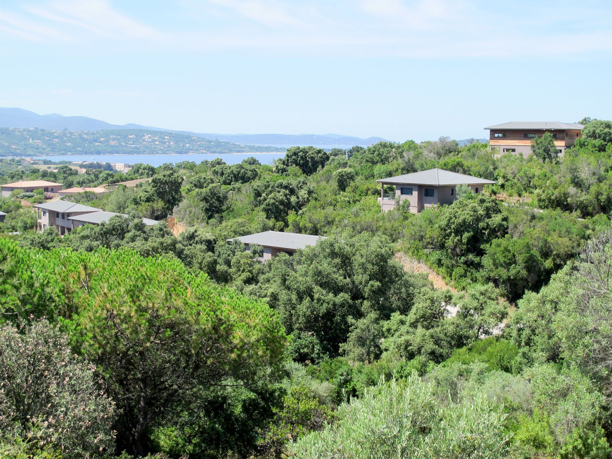 A residential area with houses surrounded by dense greenery and a view of the sea in the background.