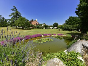 Área da propriedade