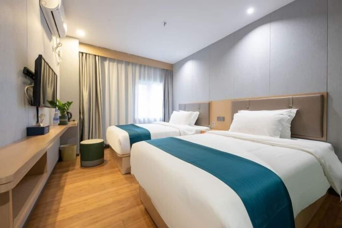 A hotel room with two beds, a TV, a small table with a plant, and a window with curtains.