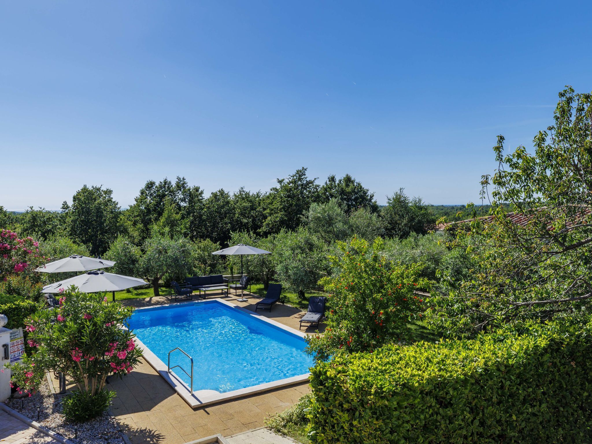 Una piscina rectangular con una escalera, rodeada de vegetación y árboles.
