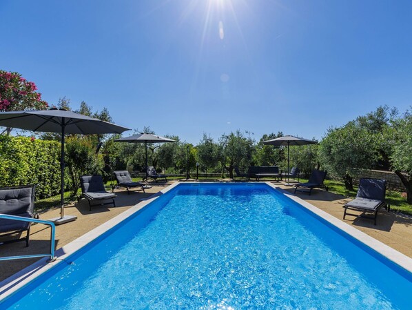 A rectangular swimming pool with lounge chairs and umbrellas, surrounded by greenery.